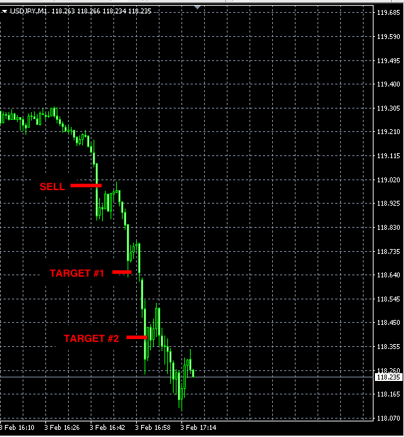 forex trading projections