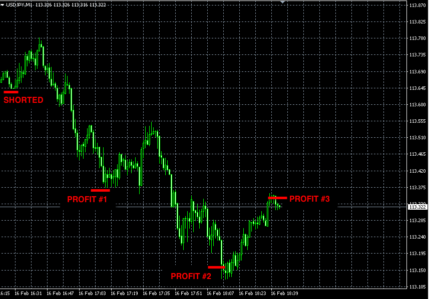 Forex signals results